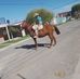 Joaquin Bejarano - Facebook