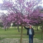 Joaquin Bejarano - @joaquinbejarano50 - Instagram