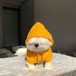 Joaquin Bejarano - @joaco.bejarano5 - Instagram