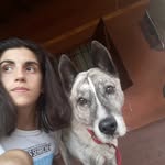 Joaquin Bello - @joaco.guitar23 - Instagram