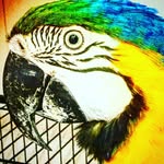 Joaquín Benavides Rhor - @benavidesrhor - Instagram