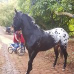 Joaquín Bermudez - Facebook