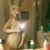 joaquinbermudez09*8888888873 - @joaquinbermudez09 - TikTok