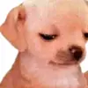 Joaquin Bernal - @joaquin.bernal02 - TikTok