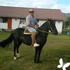 joaquin cabeza - @joaquincabezas6 - TikTok