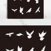 Joaquin Bird - @jessiesaunders689379 - TikTok