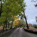 Joaquin Camilo - @joaquin_camilo - Instagram