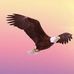 Joaquin Canales - Facebook