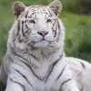 Joaquin Carrera - @joaquin.carrera2 - TikTok