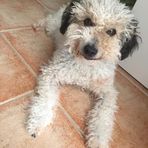 Joaquin Casillas - Facebook