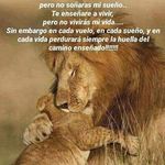 Joaquin Cazares - @joaquin.cazares.988 - Instagram