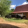 Joaquin Cecenas - @joaquin.cecenas - TikTok