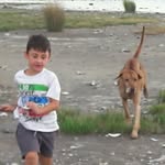 Joaquin Crespo - @joaquin_crespo - Instagram