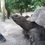 Joaquin Davis - @joaquin092009 - Instagram
