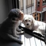 Joaquin Galindo Lucas - @joaquin_galindo_ - Instagram