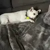 Bebé guapo🥰🥰😘😍 - @joaquinhernandez815 - TikTok