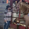 joaquinibarra19 - @joaquinibarra19 - TikTok
