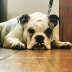 Joaquin Lira - @lira.joaquin - Instagram