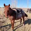 Joaquin Narvaez - @joaquin.narvaez4 - TikTok