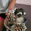 Pedraza Joaquin - @pedrazajoaquin - TikTok