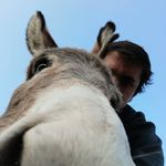 Joaquin Peña - @joaquinpenav - Instagram