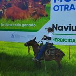 Joaquin Serna - @joaquinserna0108 - Instagram