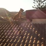Joaquin Solano - @copmarmenor - Instagram