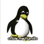 Joaquin Trejo - @joaquin.trejo2104 - Instagram