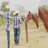 joaquinulloa600 - @joaquinulloa600 - TikTok