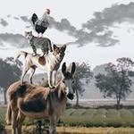 Joaquin Vasquez - @joaquin.vasquez.1804 - Instagram