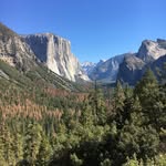 Job Thompson - @michaelthompson.mt33 - Instagram