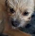 Jennifer Jobe Johnson - Facebook