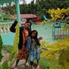 Jocelyn Abel - @joynayomi - TikTok