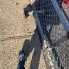 Jocelyn Adkins - @user14176032576856 - TikTok