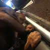 Jocelyn Adkins - @jocelyn.adkins78 - TikTok