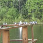 Jocelyne Audet - Facebook
