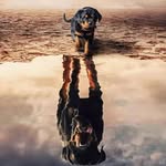 Jocelyne Audet - @jocelyne.audet - Instagram