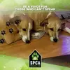 Jocelyne Beaudet - @jocelyne.beaudet - TikTok