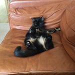 Jocelyn Barker - @jocelyn.barker - Instagram