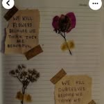 Jocelyn Barron - @joe_bm31 - Instagram