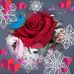 Beck Jocelyne - Facebook
