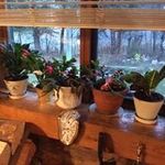 Jocelyne Colbert - @jocelynecolbert - Instagram