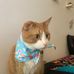 Jocelyn Cronin - Facebook