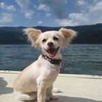 Jocelyn Downing - @jocelyndowning - Instagram