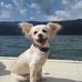 Jocelyn Downing - Facebook
