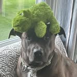 Jocelyn Erickson - @jocelynerickson2624 - Instagram