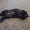 jocelynfunk672 - @jocelynfunk672 - TikTok