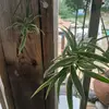 Jocelyn Goodnight - @jocelyn.goodnight - TikTok