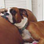 Jocelyn Waulk Gorman - @jocelyn357 - Instagram