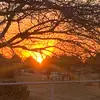 jocelyn_haley2❤️ - @jocelyn_haley2 - TikTok
